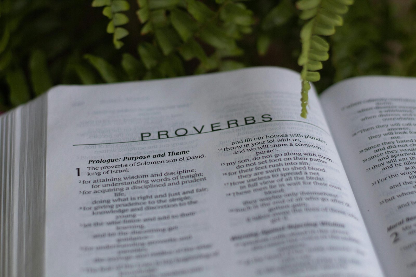 Close-up of an open Bible with the Book of Proverbs, surrounded by greenery.